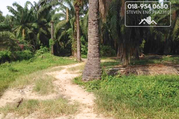 FREEHOLD 4.2 acres Agricultural Land @ Sitiawan, Perak