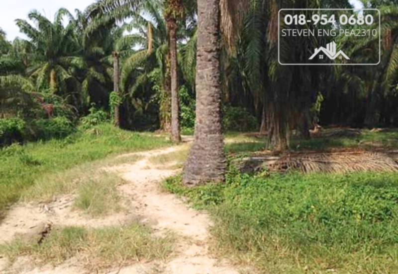 FREEHOLD 4.2 acres Agricultural Land @ Sitiawan, Perak