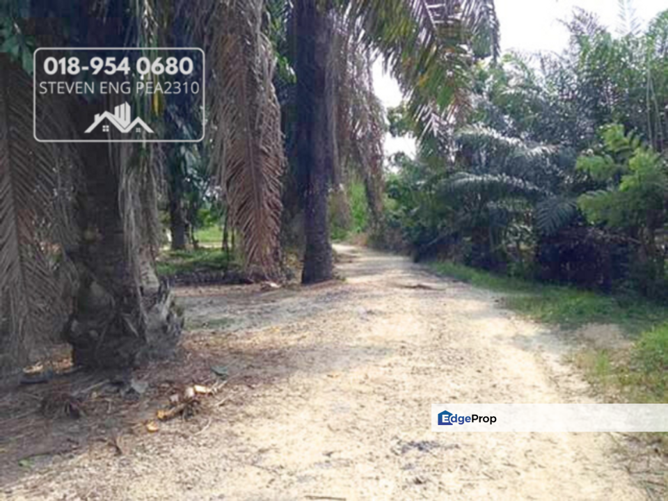 FREEHOLD 4.2 acres Agricultural Land @ Sitiawan, Perak, Perak, Sitiawan