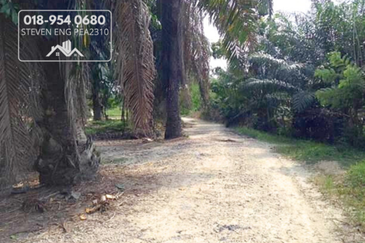 FREEHOLD 4.2 acres Agricultural Land @ Sitiawan, Perak