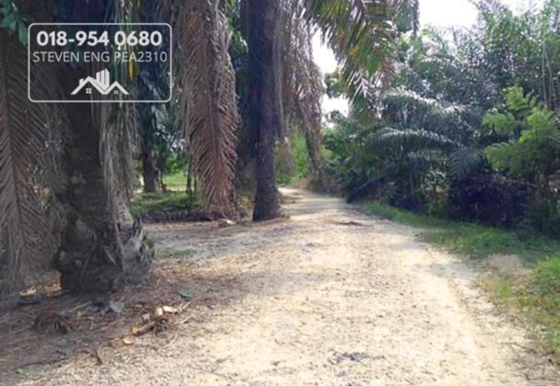 FREEHOLD 4.2 acres Agricultural Land @ Sitiawan, Perak