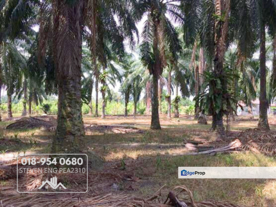 FREEHOLD 4.2 acres Agricultural Land @ Sitiawan, Perak, Perak, Sitiawan