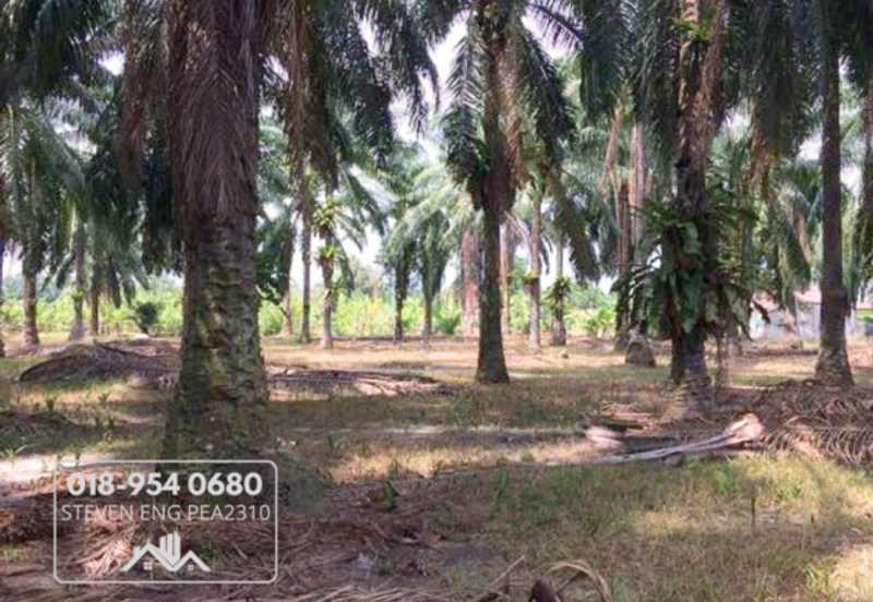  4.2 Acres Agricultural Land Simpang, beside Jalan Taiping Kuala Sepetang