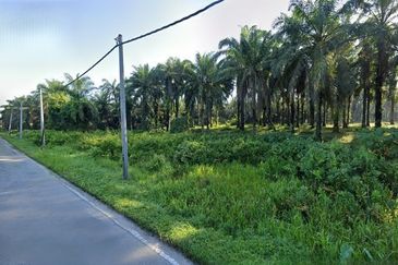 Freehold Agricultural Land near area Kampar, Tapah
