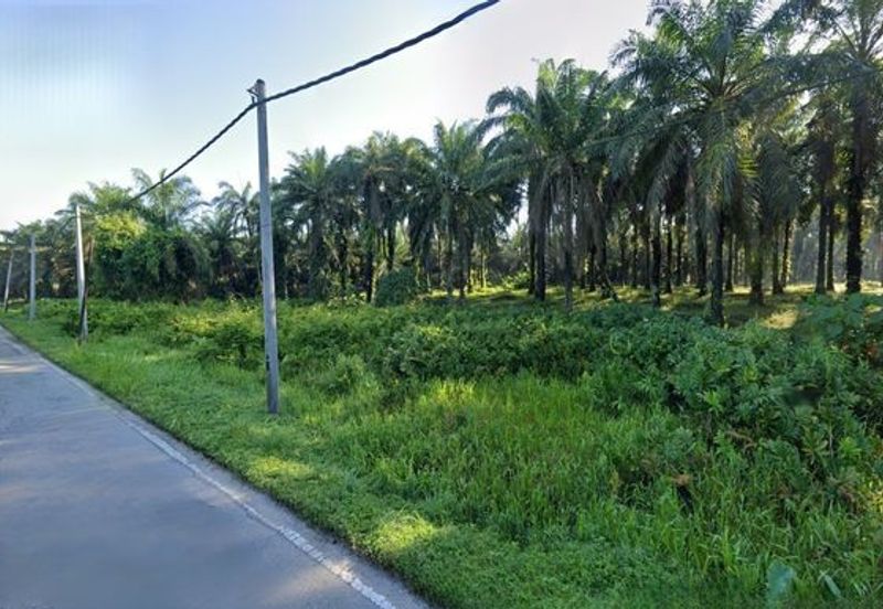 Freehold Agricultural Land near area Kampar, Tapah