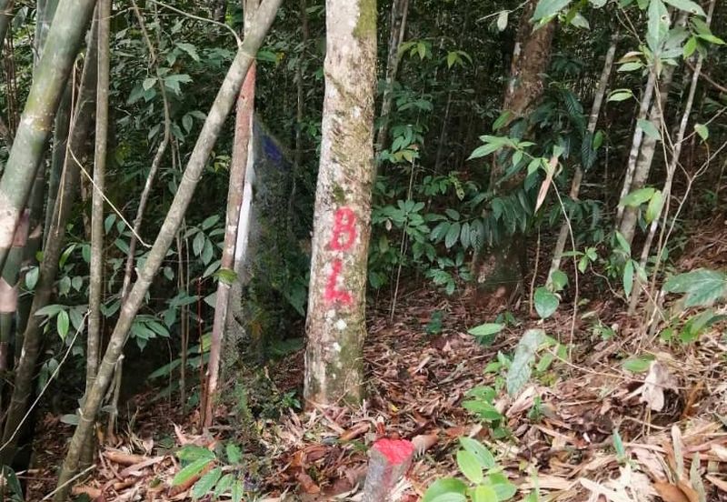 Agricultural Land @ Mukim Rasa, Hulu Selangor