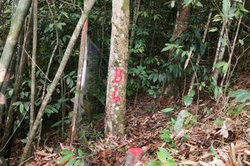 Agricultural Land @ Mukim Rasa, Hulu Selangor