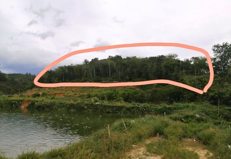 Agricultural Land @ Mukim Rasa, Hulu Selangor