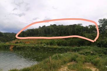 Agricultural Land @ Mukim Rasa, Hulu Selangor