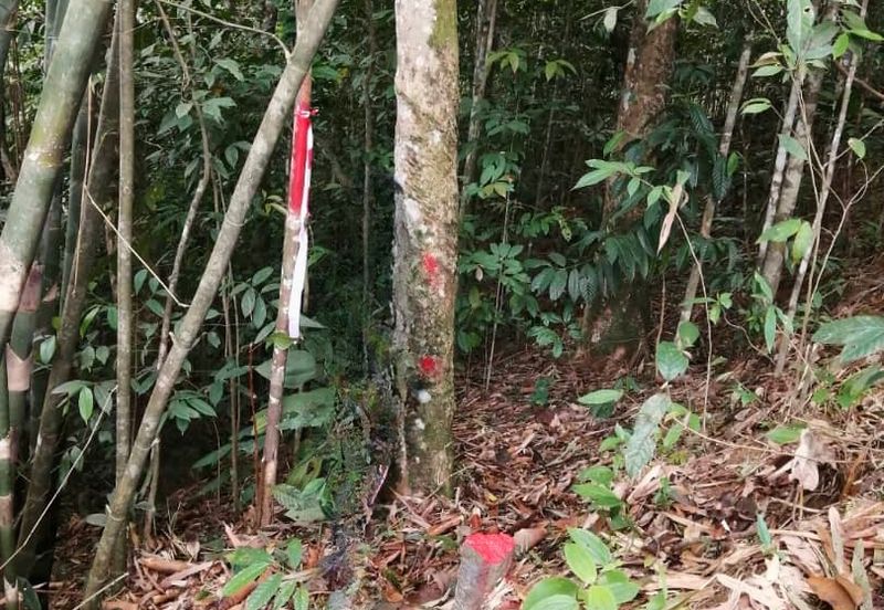 Agricultural Land @ Mukim Rasa, Hulu Selangor