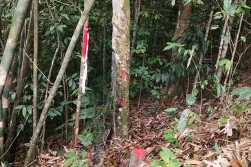 Agricultural Land @ Mukim Rasa, Hulu Selangor