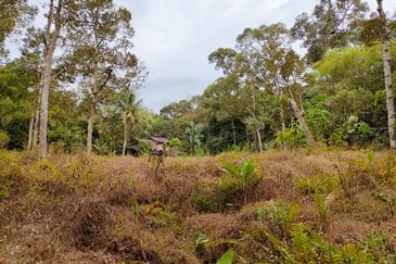 Tapah 2.55acres Agricultural Land For Sale