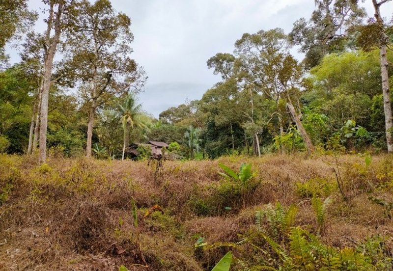 Tapah 2.55acres Agricultural Land For Sale