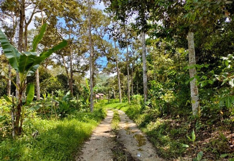 Tapah 2.55acres Agricultural Land For Sale