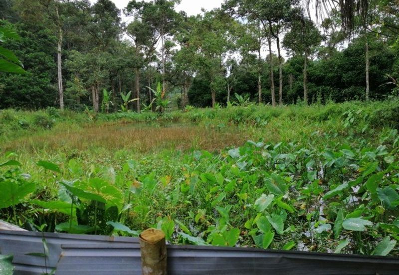 Tapah 2.55acres Agricultural Land For Sale