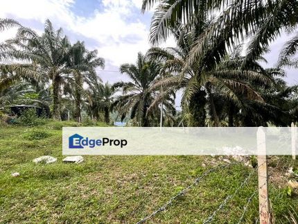 Tanjong Tualang Freehold Agricultural Land, 3.2971acres, Perak, Tanjong Tualang