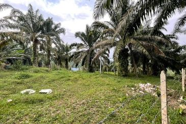 Tanjong Tualang Freehold Agricultural Land, 3.2971acres