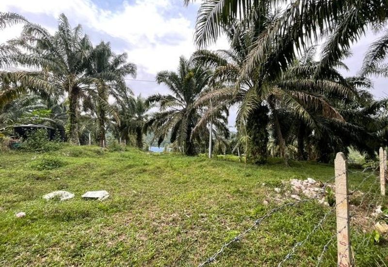 Tanjong Tualang Freehold Agricultural Land, 3.2971acres