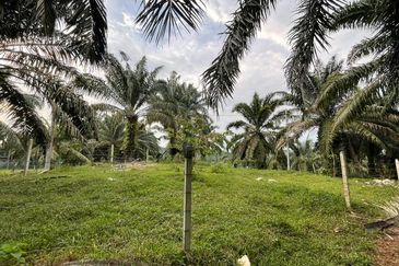 Tanjong Tualang Freehold Agricultural Land, 3.2971acres