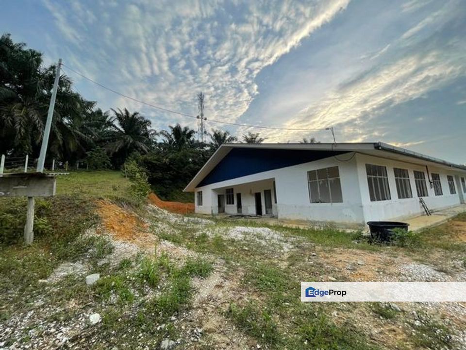 Tanjong Tualang Freehold Agricultural Land, 3.2971acres, Perak, Tanjong Tualang