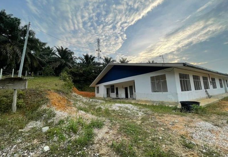 Tanjong Tualang Freehold Agricultural Land, 3.2971acres