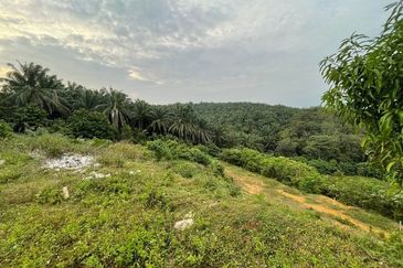 Tanjong Tualang Freehold Agricultural Land, 3.2971acres