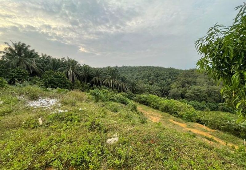 Tanjong Tualang Freehold Agricultural Land, 3.2971acres