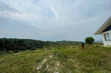 Tanjong Tualang Freehold Agricultural Land, 3.2971acres