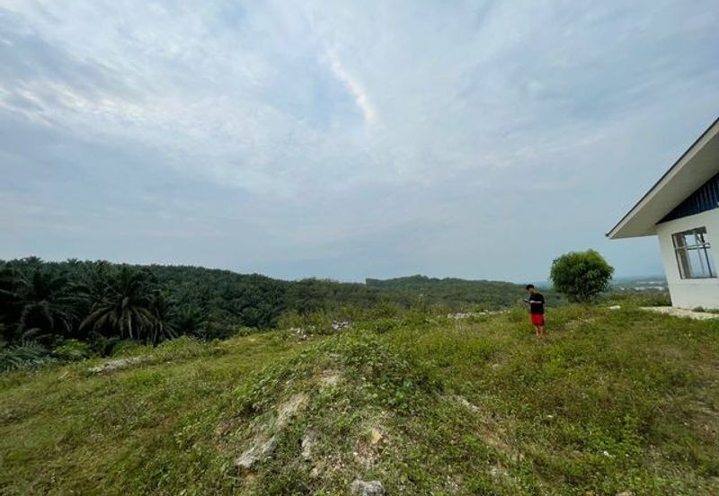 Tanjong Tualang Freehold Agricultural Land, 3.2971acres