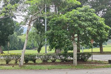 MERU VALLEY RESORT (GOLFVIEW TERRACE)