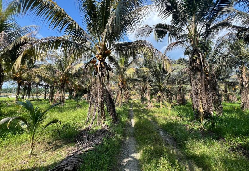 6.25 Acre Flat Land Freehold Beside Main Road Sungkai - Bidor