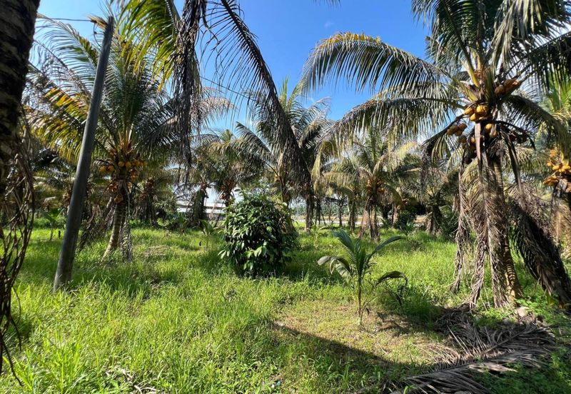 6.25 Acre Flat Land Freehold Beside Main Road Sungkai - Bidor