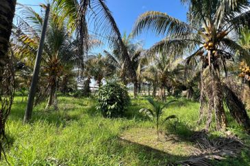 6.25 Acre Flat Land Freehold Beside Main Road Sungkai - Bidor