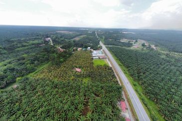 6.25 Acre Flat Land Freehold Beside Main Road Sungkai - Bidor