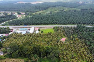 6.25 Acre Flat Land Freehold Beside Main Road Sungkai - Bidor
