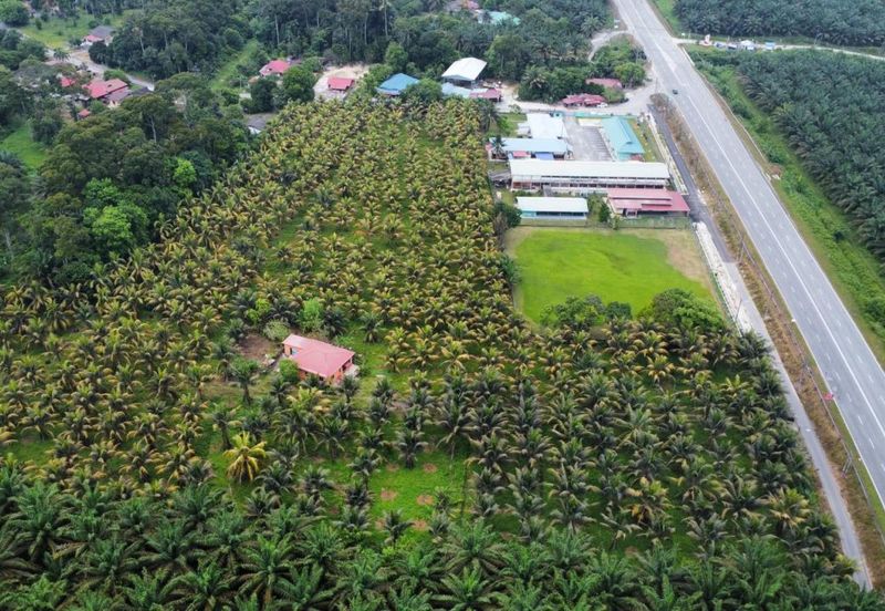 6.25 Acre Flat Land Freehold Beside Main Road Sungkai - Bidor