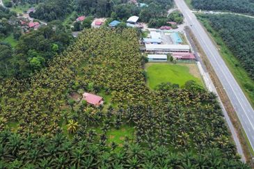 6.25 Acre Flat Land Freehold Beside Main Road Sungkai - Bidor