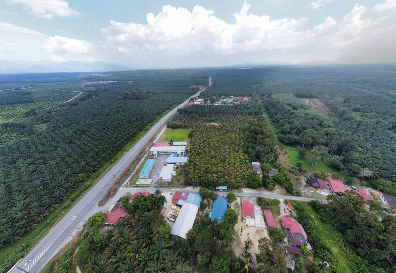 6.25 Acre Flat Land Freehold Beside Main Road Sungkai - Bidor