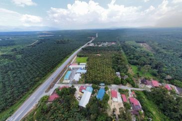 6.25 Acre Flat Land Freehold Beside Main Road Sungkai - Bidor