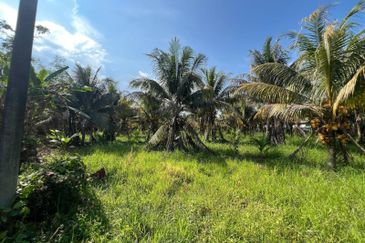 6.25 Acre Flat Land Freehold Beside Main Road Sungkai - Bidor