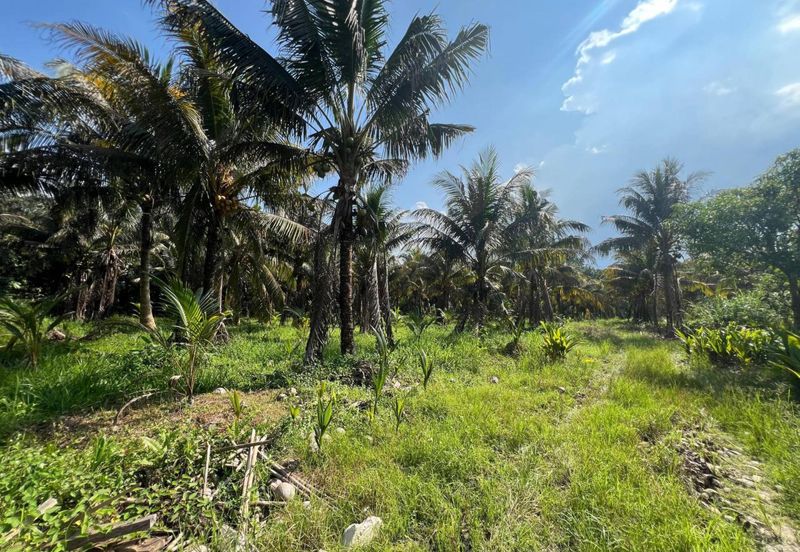 6.25 Acre Flat Land Freehold Beside Main Road Sungkai - Bidor