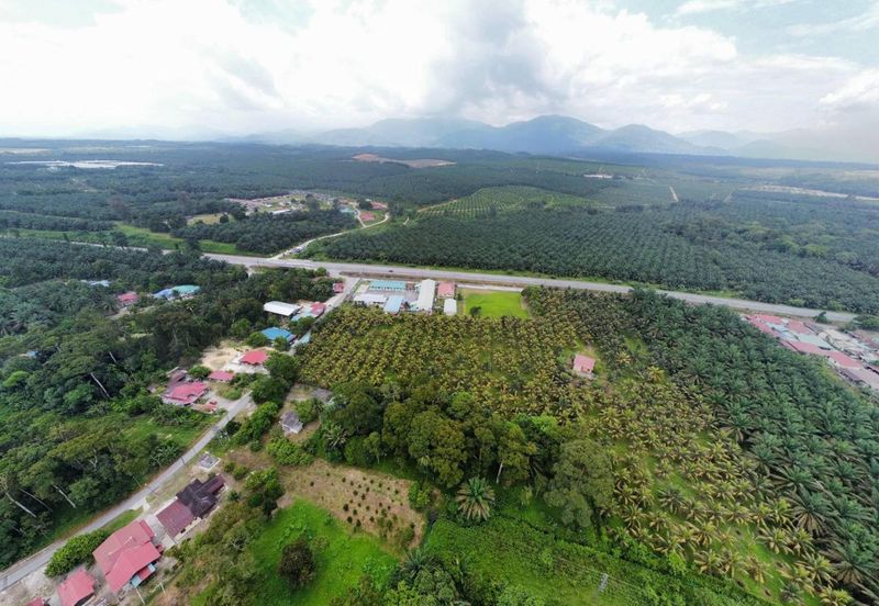 6.25 Acre Flat Land Freehold Beside Main Road Sungkai - Bidor