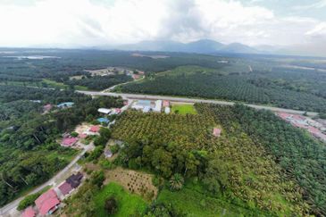 6.25 Acre Flat Land Freehold Beside Main Road Sungkai - Bidor