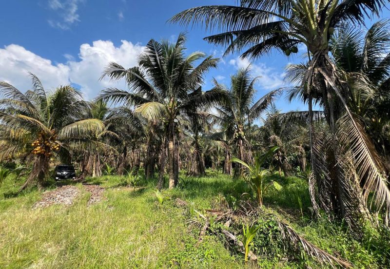 6.25 Acre Flat Land Freehold Beside Main Road Sungkai - Bidor
