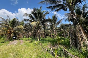 6.25 Acre Flat Land Freehold Beside Main Road Sungkai - Bidor