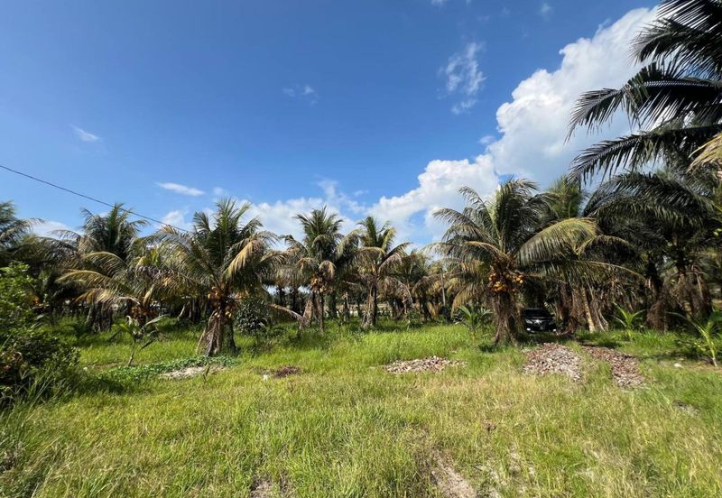 6.25 Acre Flat Land Freehold Beside Main Road Sungkai - Bidor