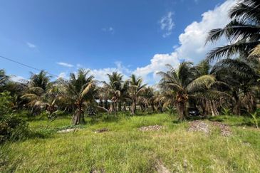 6.25 Acre Flat Land Freehold Beside Main Road Sungkai - Bidor