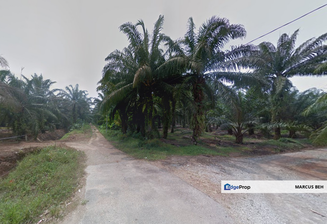 Jenjarom Jalan Sukepi Freehold Agricultural land for Sale High potential next to Industrial Zone for Development, Selangor, Jenjarom