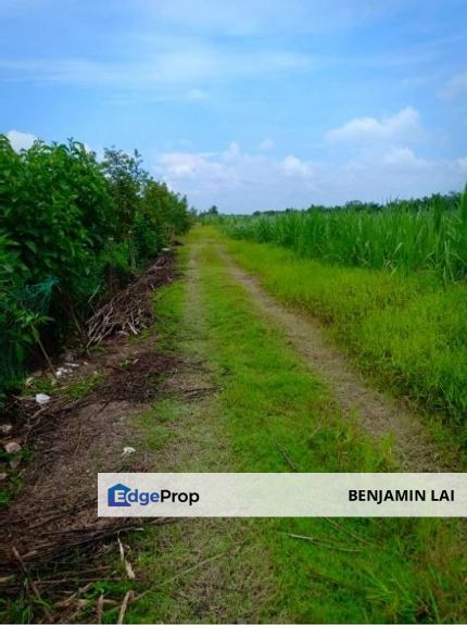 Bukit Rotan, Kuala Selangor Agricultural Land, Selangor, Kuala Selangor