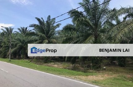 Bandar Kundang Mukim Rawang Agriculture Land For Sale  , Selangor, Rawang